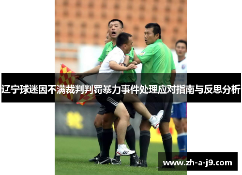 辽宁球迷因不满裁判判罚暴力事件处理应对指南与反思分析