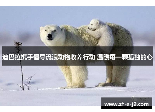 迪巴拉携手倡导流浪动物收养行动 温暖每一颗孤独的心 迪巴拉携手倡导流浪动物收养行动 温暖每一颗孤独的心