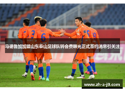 马德鲁加加盟山东泰山足球队转会费曝光正式签约消息引关注